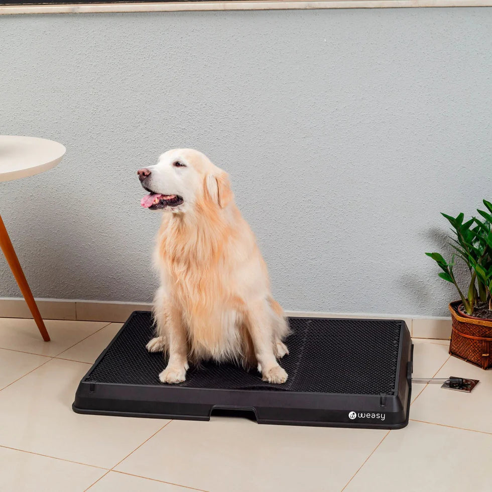 Banheiro Inteligente para Cachorro – Sanitário Higiênico com Grade e Bandeja Coletora para Cães