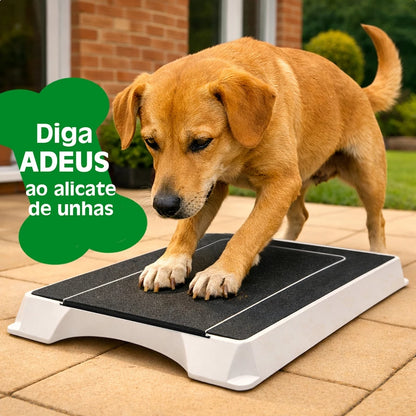 Caixa Lixa para Pets - Brinquedo Interativo e Lixa Natural para Unhas