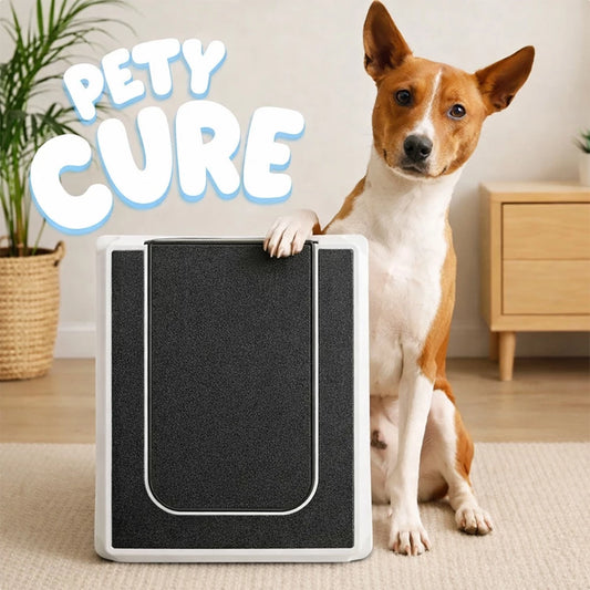 Caixa Lixa para Pets - Brinquedo Interativo e Lixa Natural para Unhas