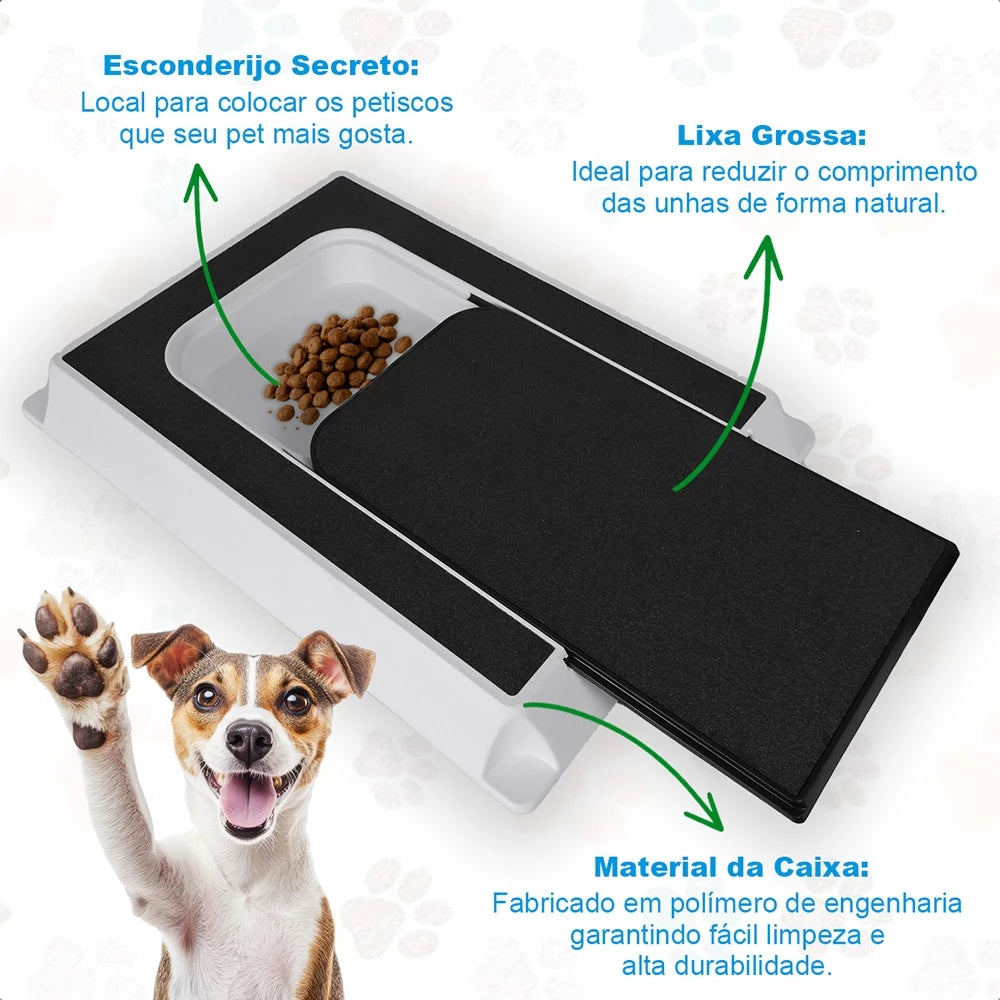 Caixa Lixa para Pets - Brinquedo Interativo e Lixa Natural para Unhas