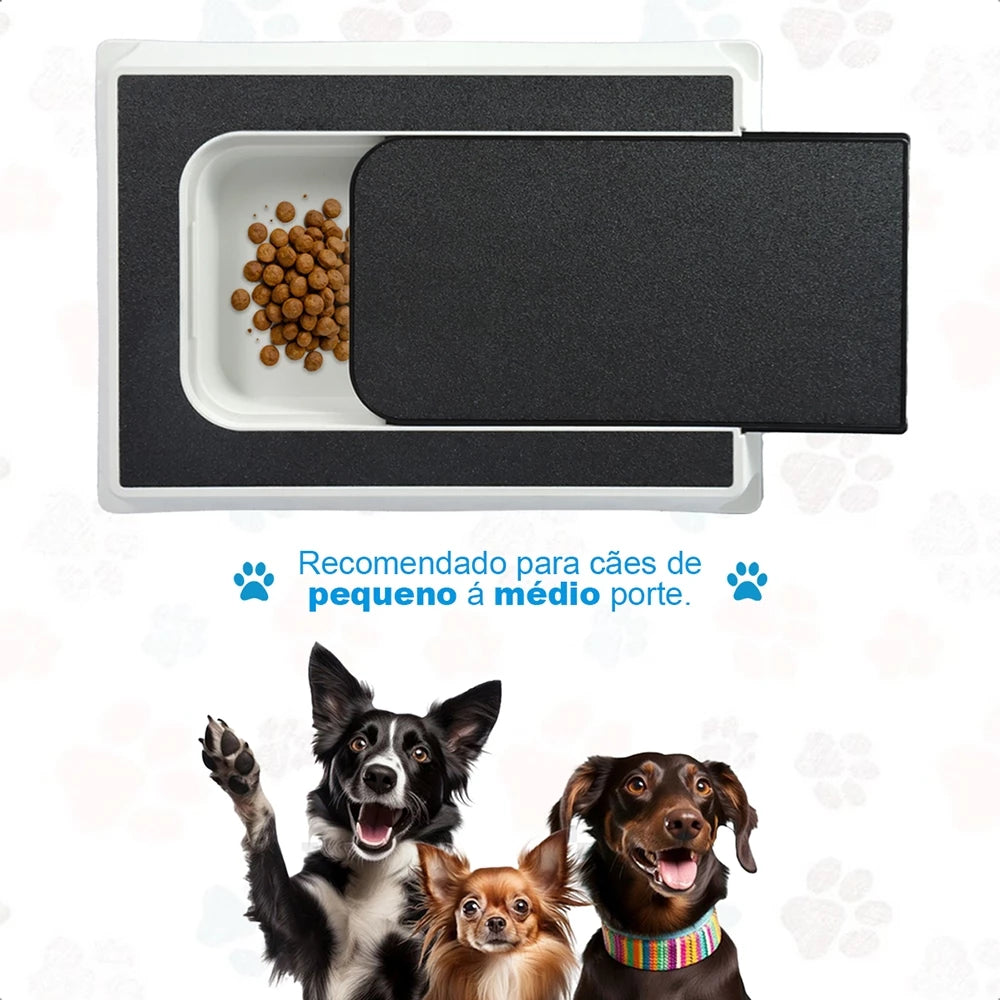 Caixa Lixa para Pets - Brinquedo Interativo e Lixa Natural para Unhas