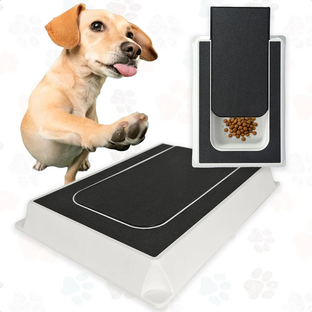Caixa Lixa para Pets - Brinquedo Interativo e Lixa Natural para Unhas