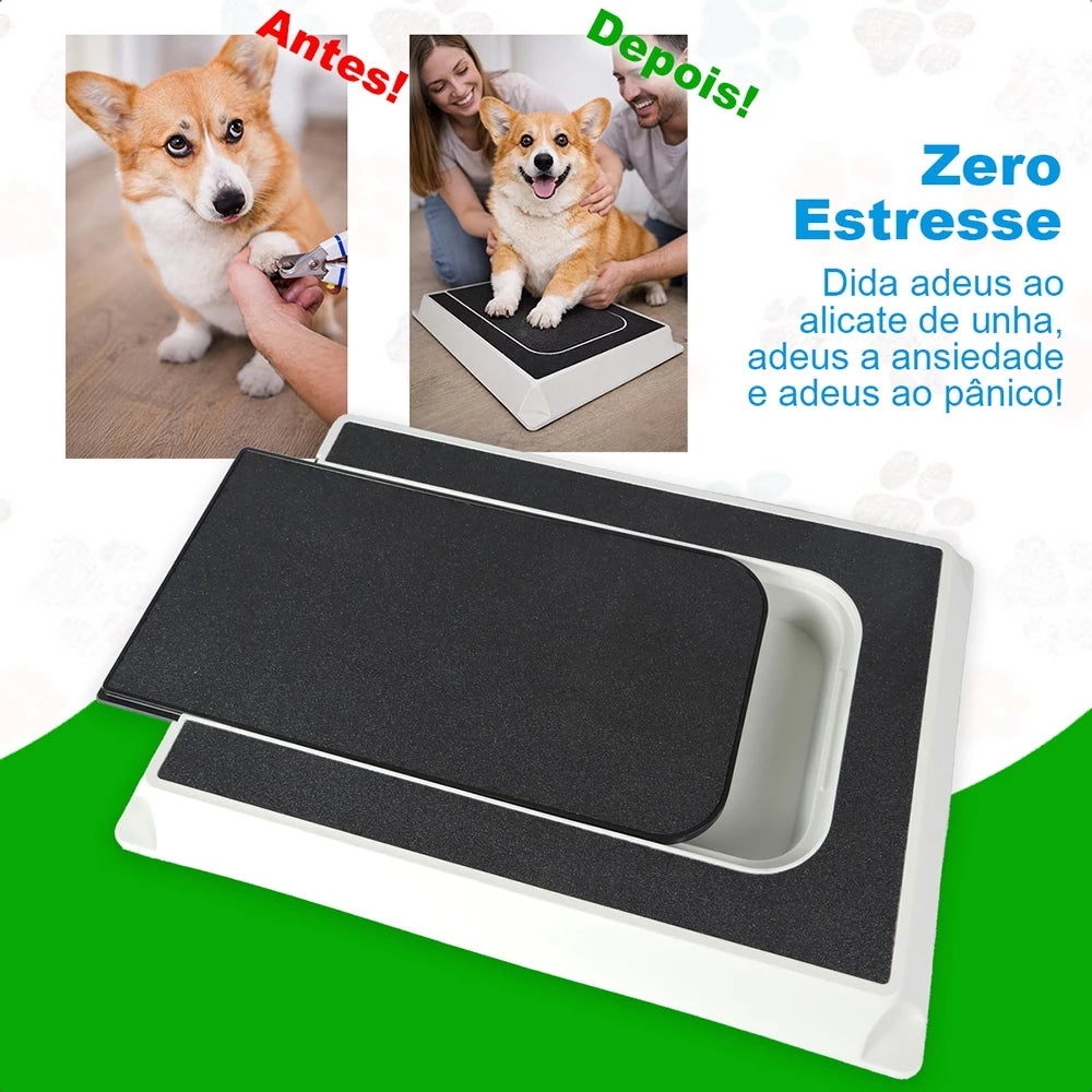 Caixa Lixa para Pets - Brinquedo Interativo e Lixa Natural para Unhas